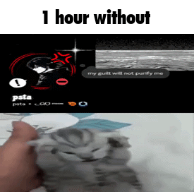 meow